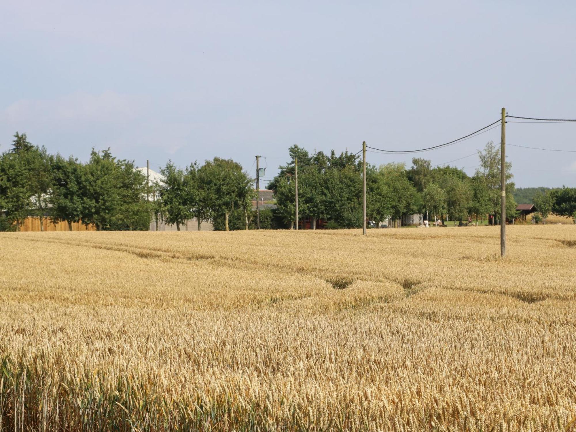 Cornfield Vila Northallerton Exterior foto