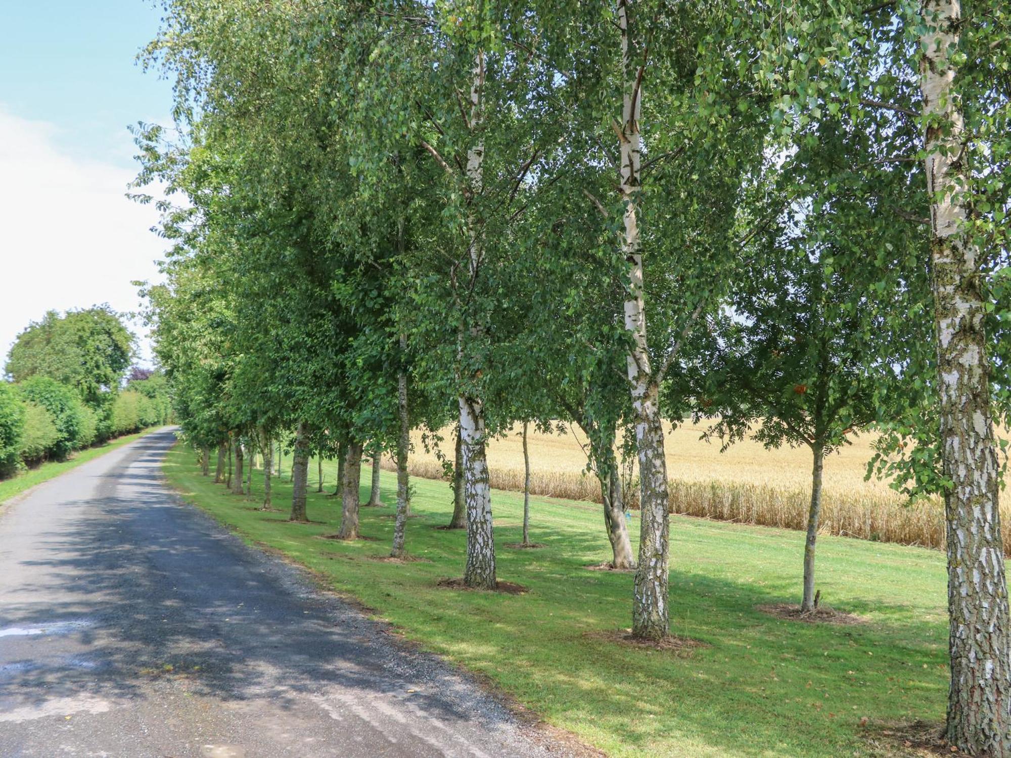 Cornfield Vila Northallerton Exterior foto